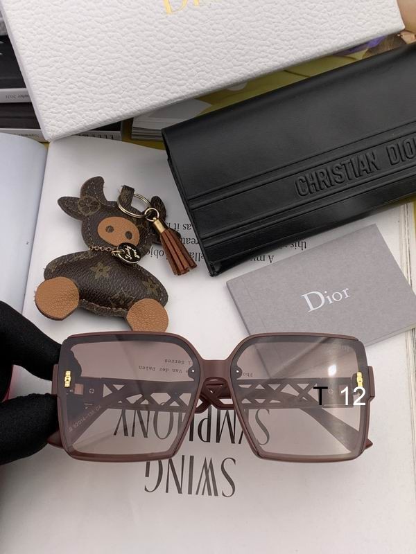 DIOR Sunglasses 381